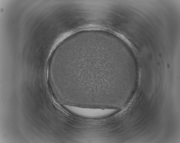 X0000085061413200703191313