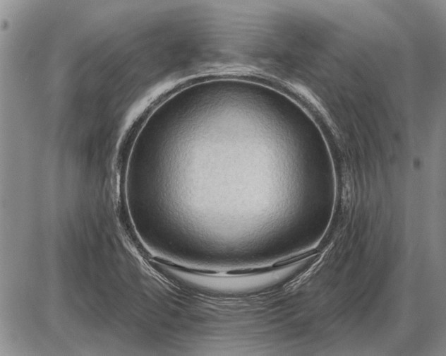 X0000085061414200703191313