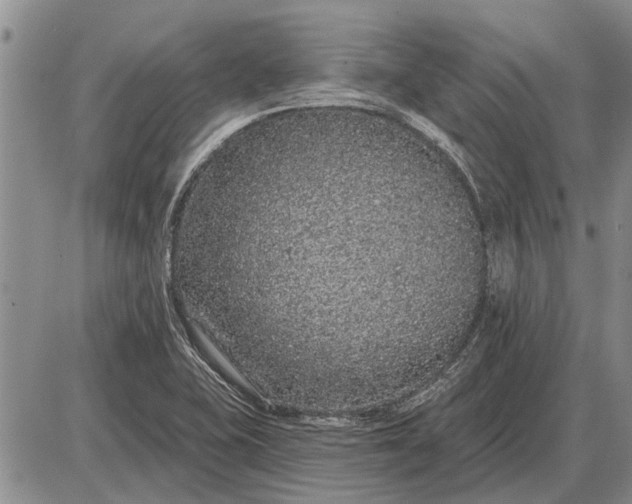 X0000085061415200703191313