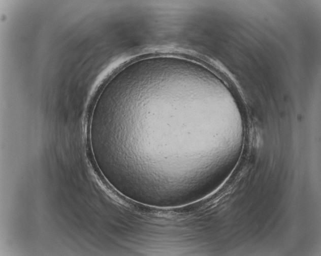 X0000085061416200703191313