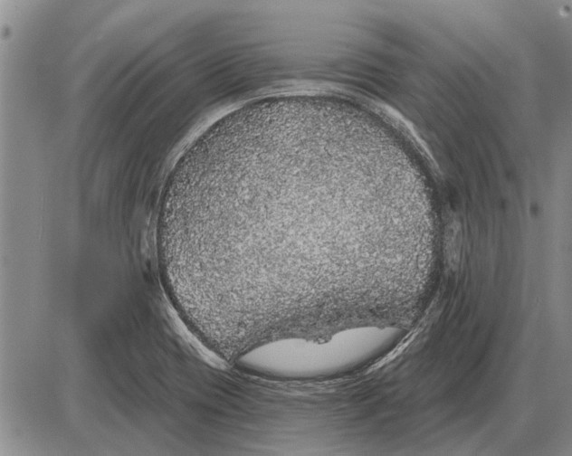 X0000085061417200703191313