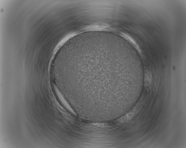 X0000085061419200703191313