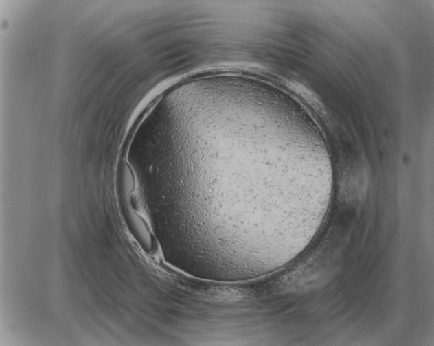 X0000085061420200703191313