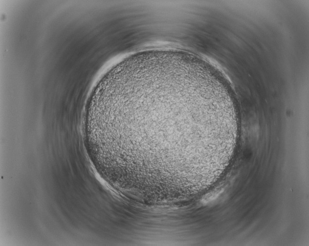 X0000085061421200703191313