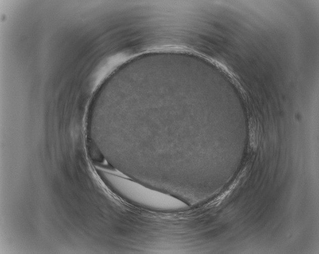 X0000085061422200703191313