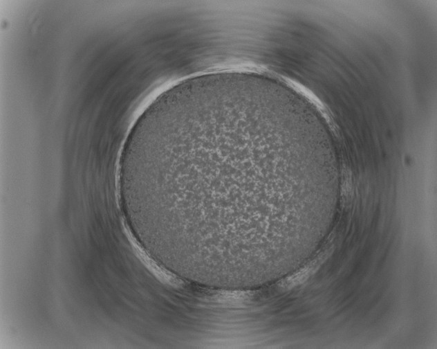 X0000085061423200703191313