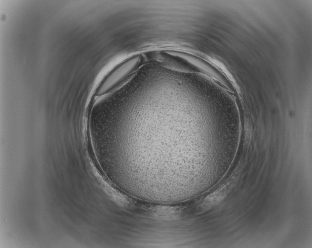 X0000085061424200703191313