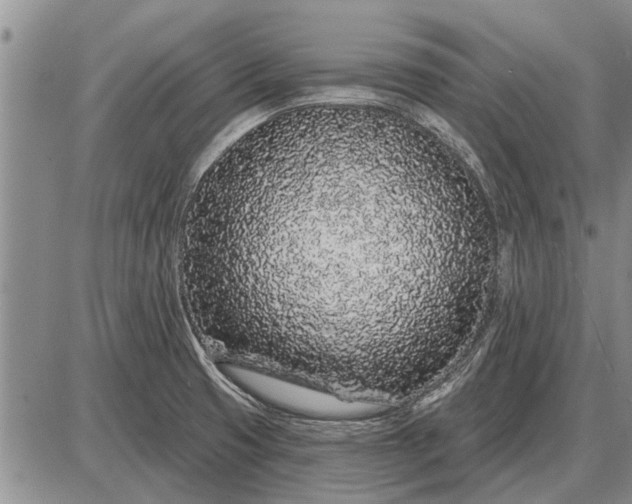 X0000085061425200703191313