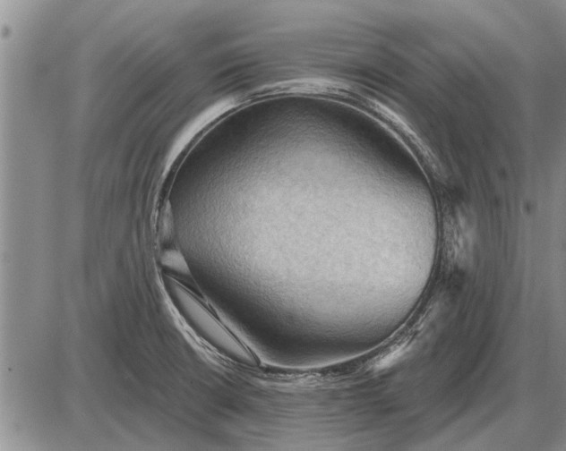 X0000085061426200703191313