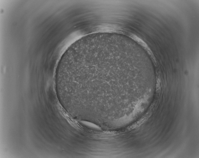 X0000085061427200703191313