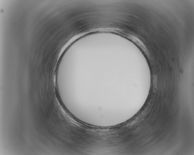 X0000085061428200703191313