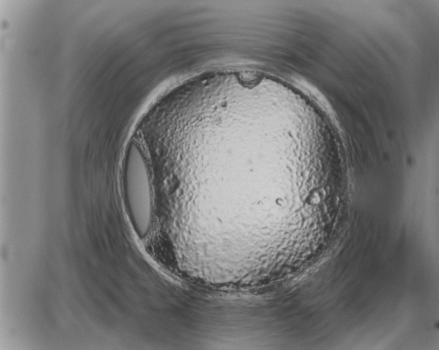 X0000085061429200703191313