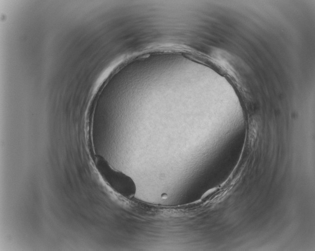 X0000085061430200703191313