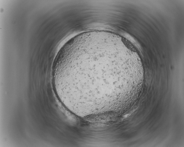 X0000085061431200703191313