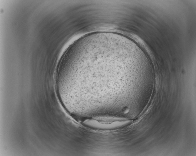 X0000085061432200703191313