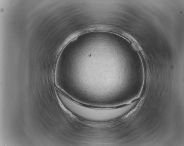 X0000085061433200703191313