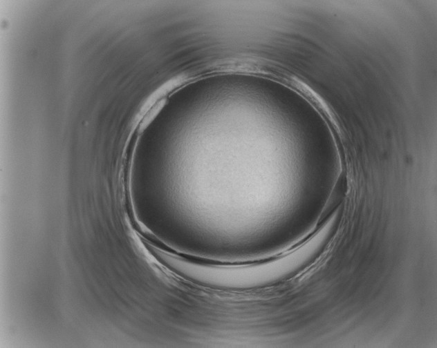 X0000085061434200703191313