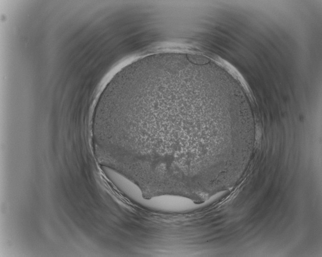 X0000085061435200703191313