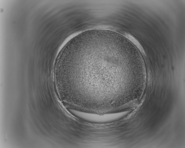 X0000085061436200703191313