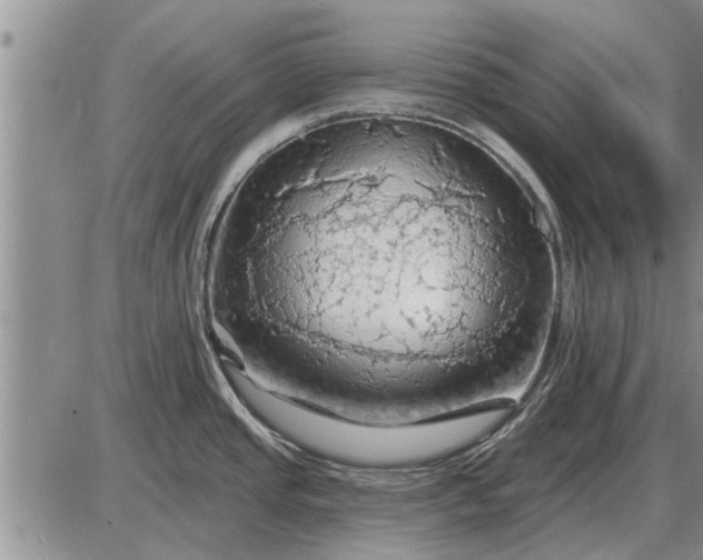 X0000085061437200703191313