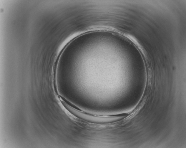 X0000085061438200703191313