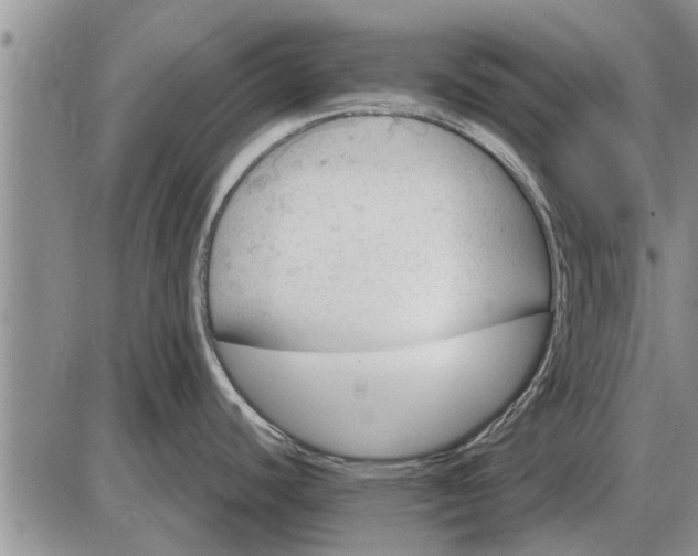 X0000085061440200703191313