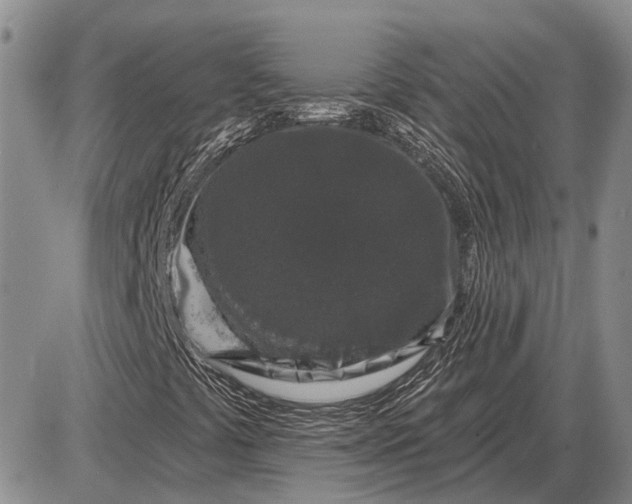 X0000085061441200703191312