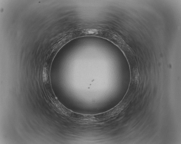 X0000085061442200703191312