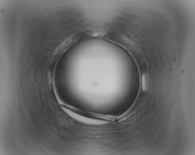 X0000085061443200703191312