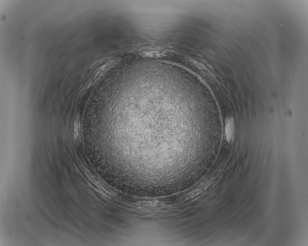 X0000085061444200703191312