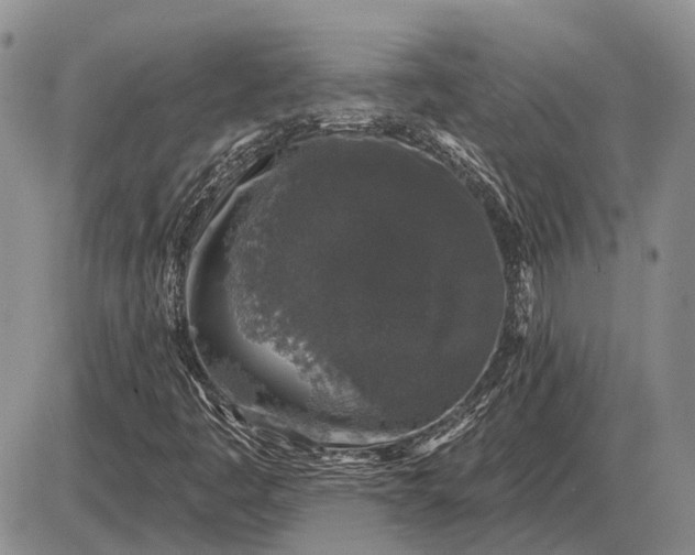 X0000085061445200703191312