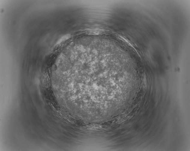 X0000085061446200703191312