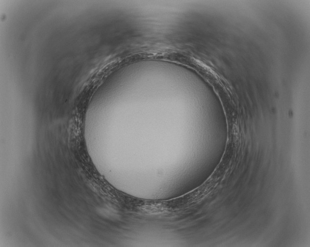 X0000085061447200703191312