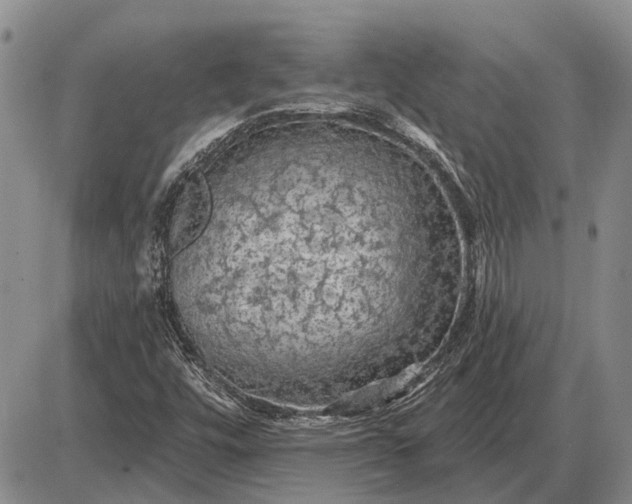 X0000085061448200703191312