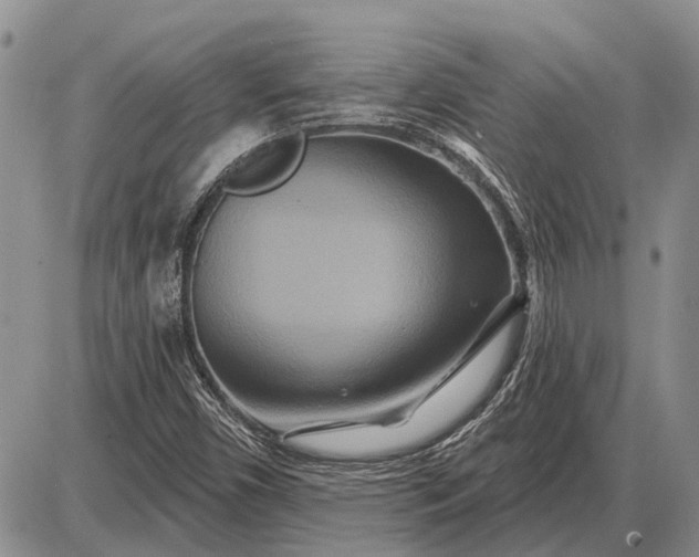 X0000085061450200703191312