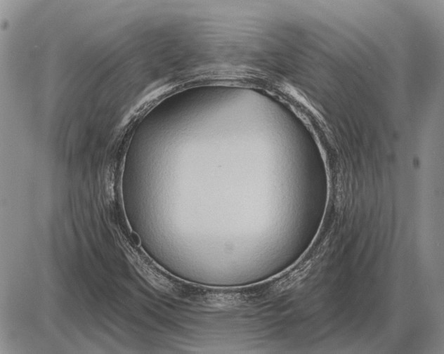 X0000085061451200703191312