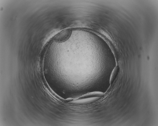 X0000085061452200703191312