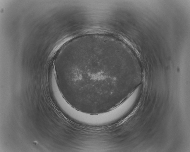 X0000085061453200703191312