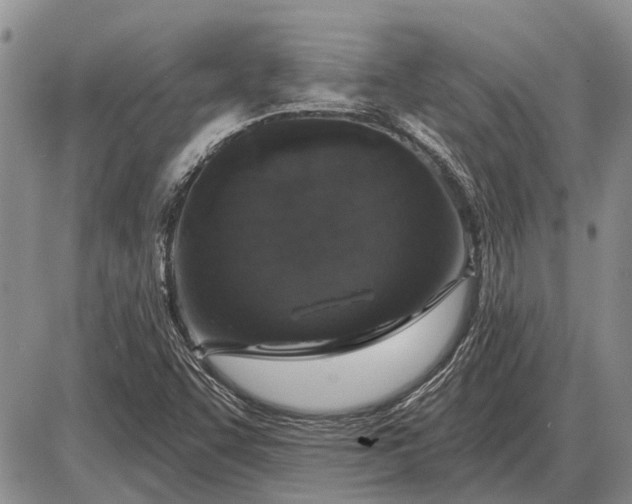 X0000085061455200703191312