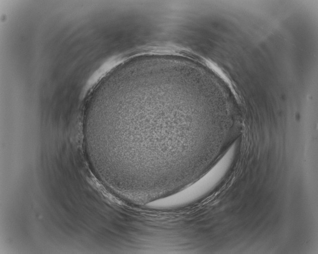 X0000085061456200703191312