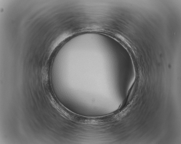 X0000085061458200703191312