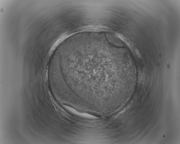 X0000085061459200703191312