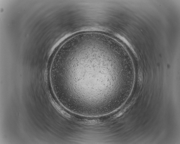 X0000085061460200703191312