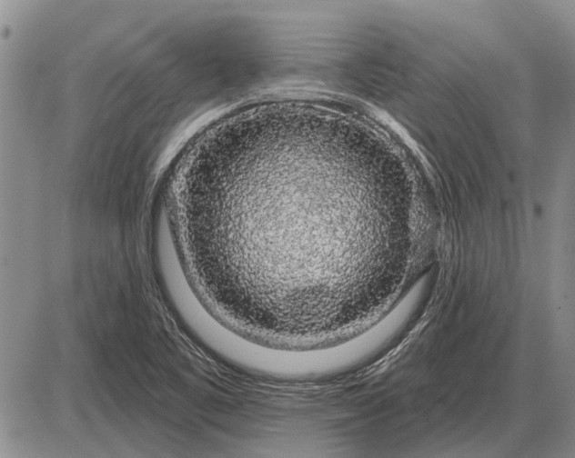 X0000085061461200703191312