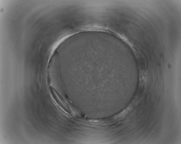 X0000085061463200703191312