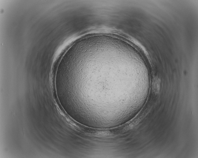 X0000085061464200703191312