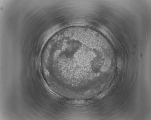 X0000085061466200703191312