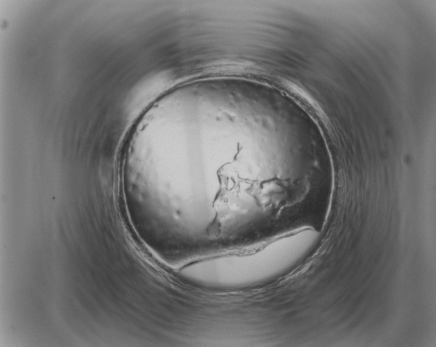 X0000085061467200703191312