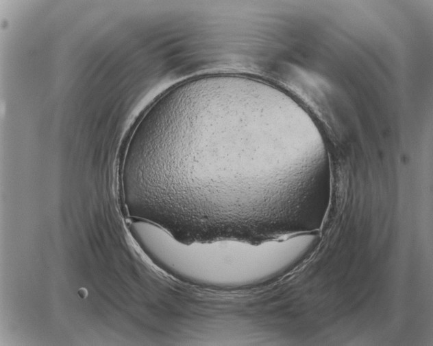 X0000085061468200703191312