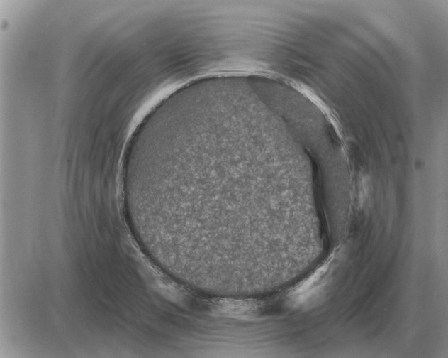 X0000085061469200703191312